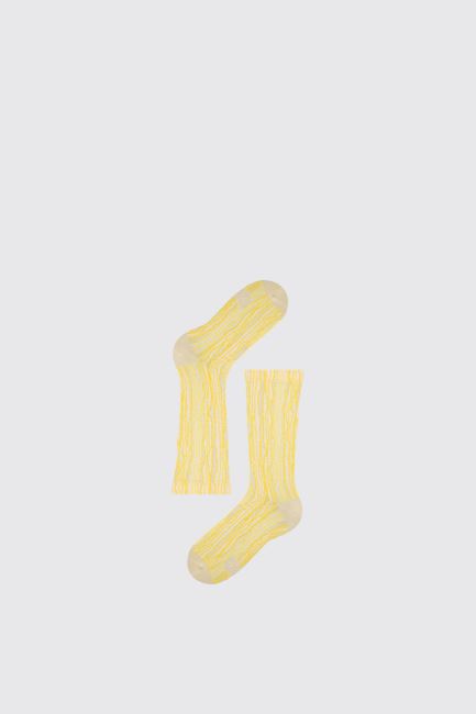 Design Dripo Sox Multicoloured Unisex Socks Camper